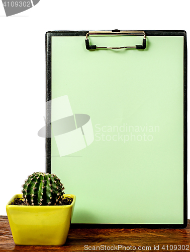 Image of Cactus on the desk near the greenish board