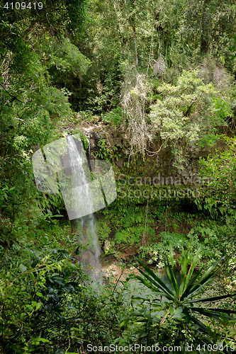 Image of Small waterfall in Amber mountain national park