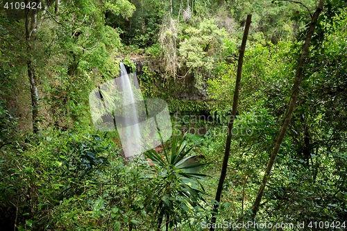 Image of Small waterfall in Amber mountain national park