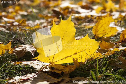 Image of Park in the fall