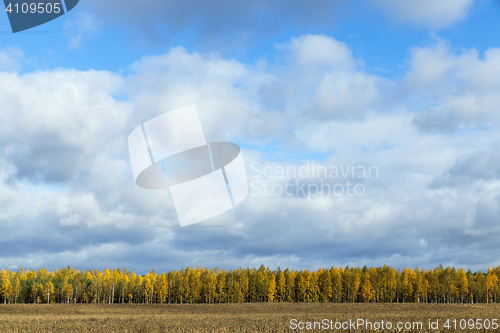 Image of Nature in autumn season