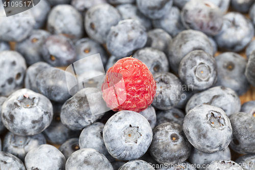 Image of ripe blueberries, close-up