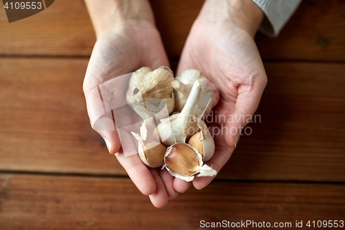 Image of woman hands holding garlic