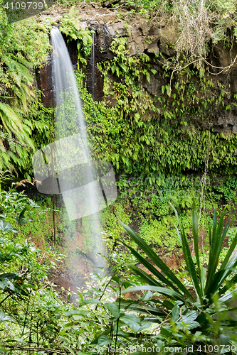 Image of Small waterfall in Amber mountain national park