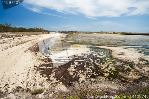 Image of paradise sand beach in Madagascar, Antsiranana, Diego Suarez