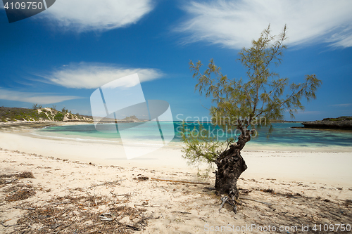 Image of paradise sand beach in Madagascar, Antsiranana, Diego Suarez