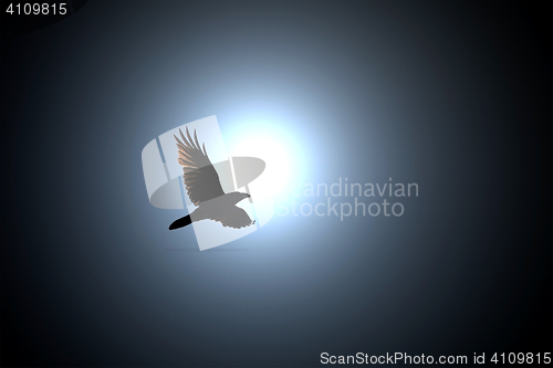 Image of Black Raven Flies against Full Moon