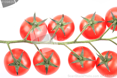 Image of cherry tomatoes isolated