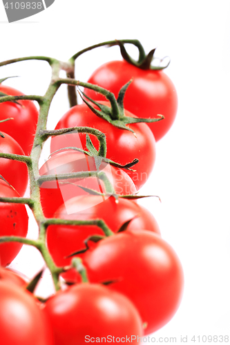 Image of cherry tomatoes isolated
