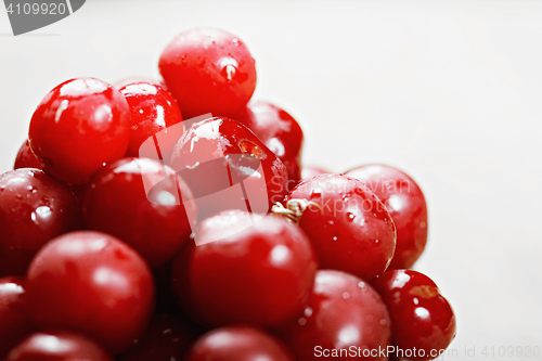 Image of Cherry closeup