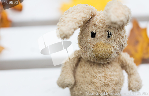 Image of close up of toy rabbit on bench in autumn park