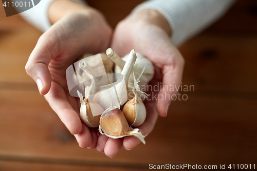 Image of woman hands holding garlic