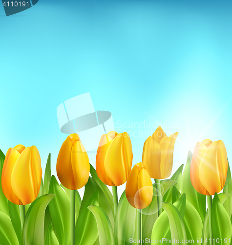Image of Nature Floral Background with Tulips Flowers and Blue Sky