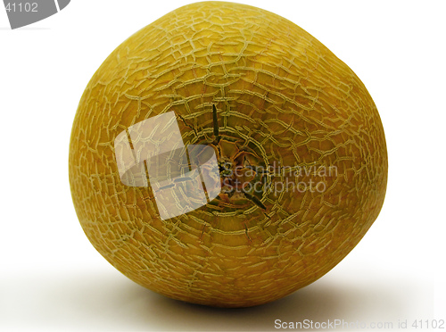 Image of melon