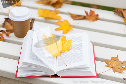 Image of open book and coffee cup on bench in autumn park