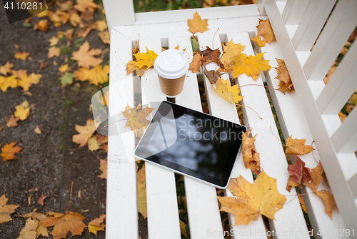 Image of tablet pc and coffee cup on bench in autumn park