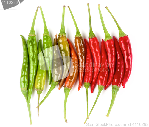 Image of Arrangement of Chili Peppers