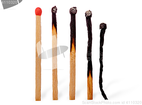 Image of Closeup of several burnt matches