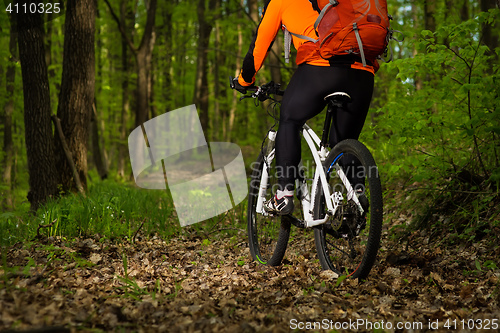 Image of Cyclist Riding the Bike on a Trail in Summer Forest