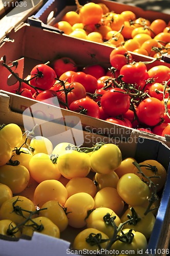 Image of Tomatoes on the market