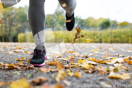 Image of close up of young woman running in autumn park