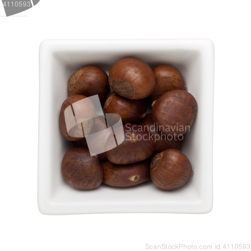 Image of Roasted chestnut