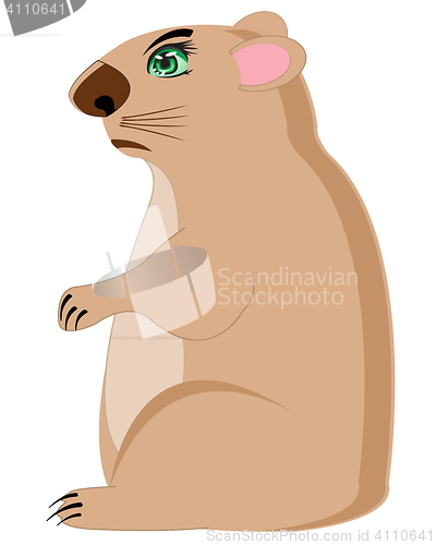 Image of Animal woodchuck on white