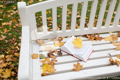 Image of open book on bench in autumn park