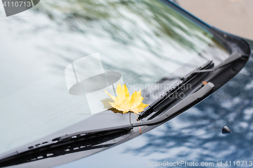 Image of close up of car wipers with autumn maple leaf