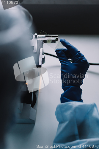 Image of Crop hands putting microscope glasses in box