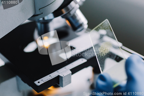 Image of Crop hands holding glass for microscope