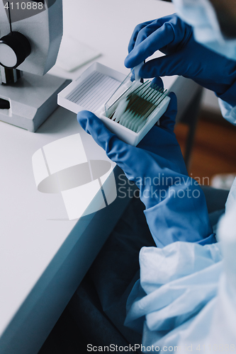 Image of Crop hands putting microscope glasses in box