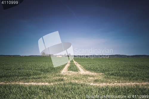 Image of Countryside field with tire tracks