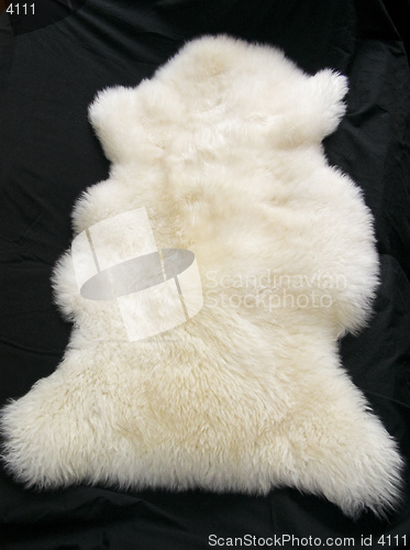 Image of White Fur