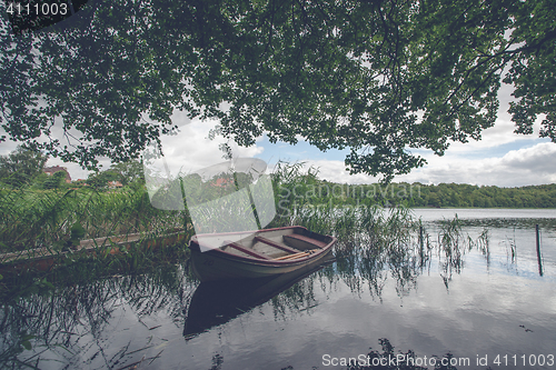 Image of Small boat among green reeds