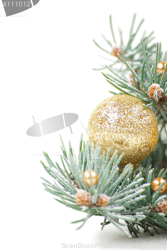 Image of Christmas decorations with branch of tree on white