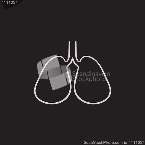 Image of Lungs sketch icon.