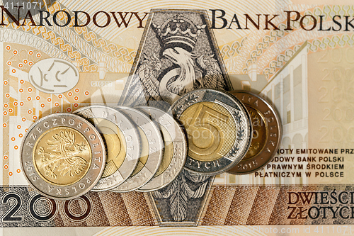 Image of Polish Zloty, close-up