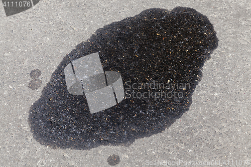 Image of oil on the road