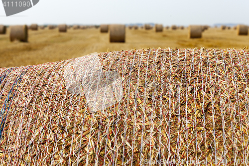 Image of stack of straw in the field