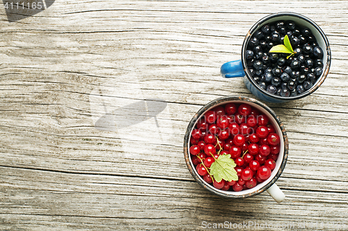 Image of Blueberries and redcurrant