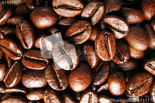 Image of Coffee beans