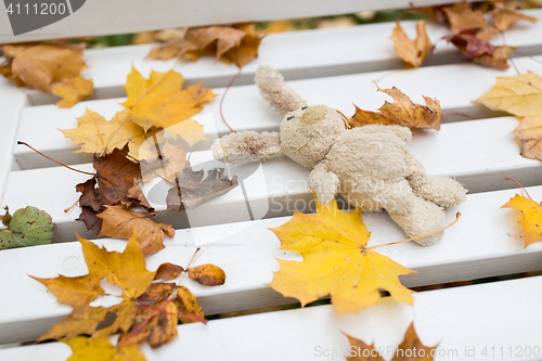 Image of toy rabbit on bench in autumn park