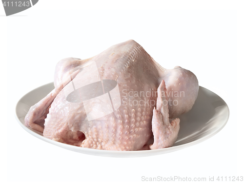 Image of uncooked chicken
