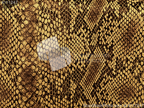 Image of snake skin pattern