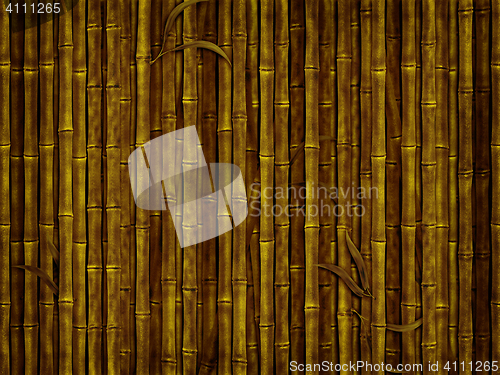 Image of bamboo forest