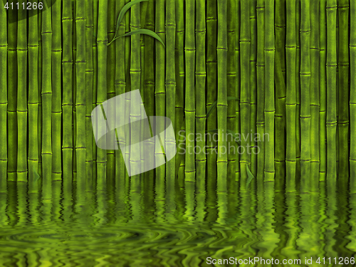 Image of bamboo forest