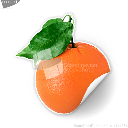 Image of orange sticker with green leaf