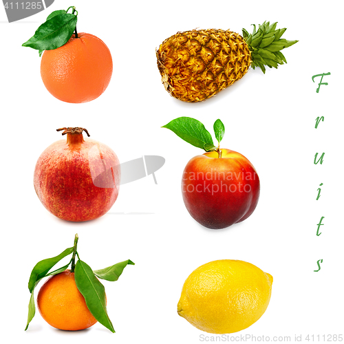 Image of Fruits