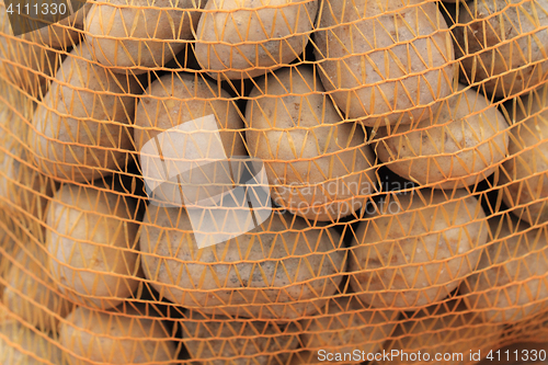 Image of raw potatoes texture